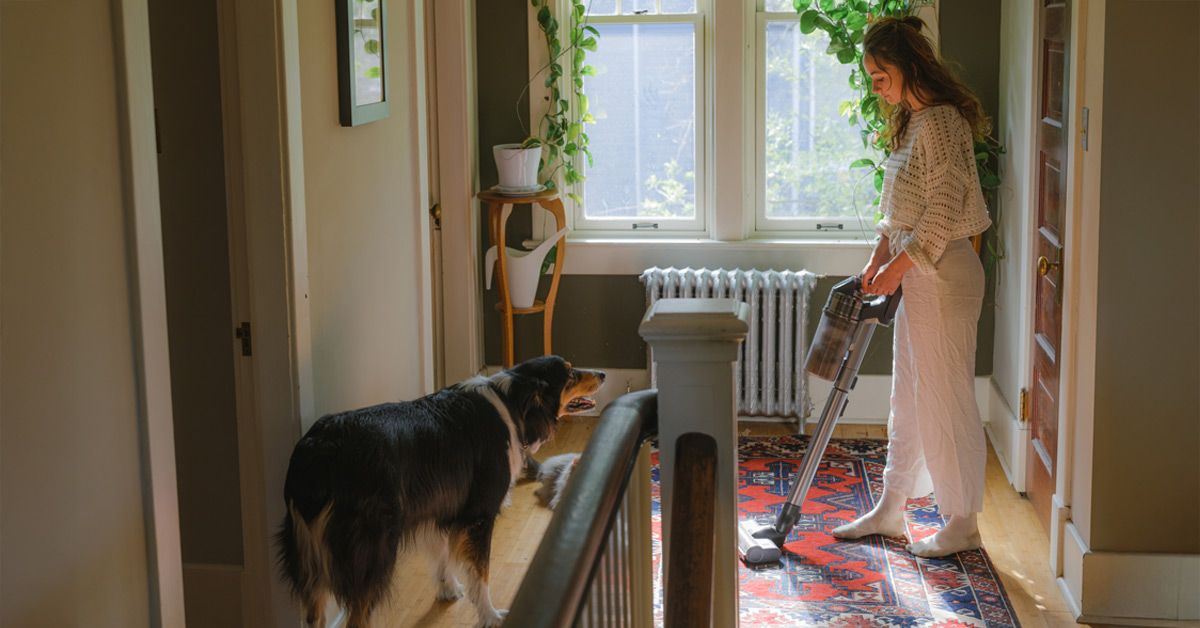 Schody i práce v domácnosti stojí za cvičení. Zlepšují náladu i energii