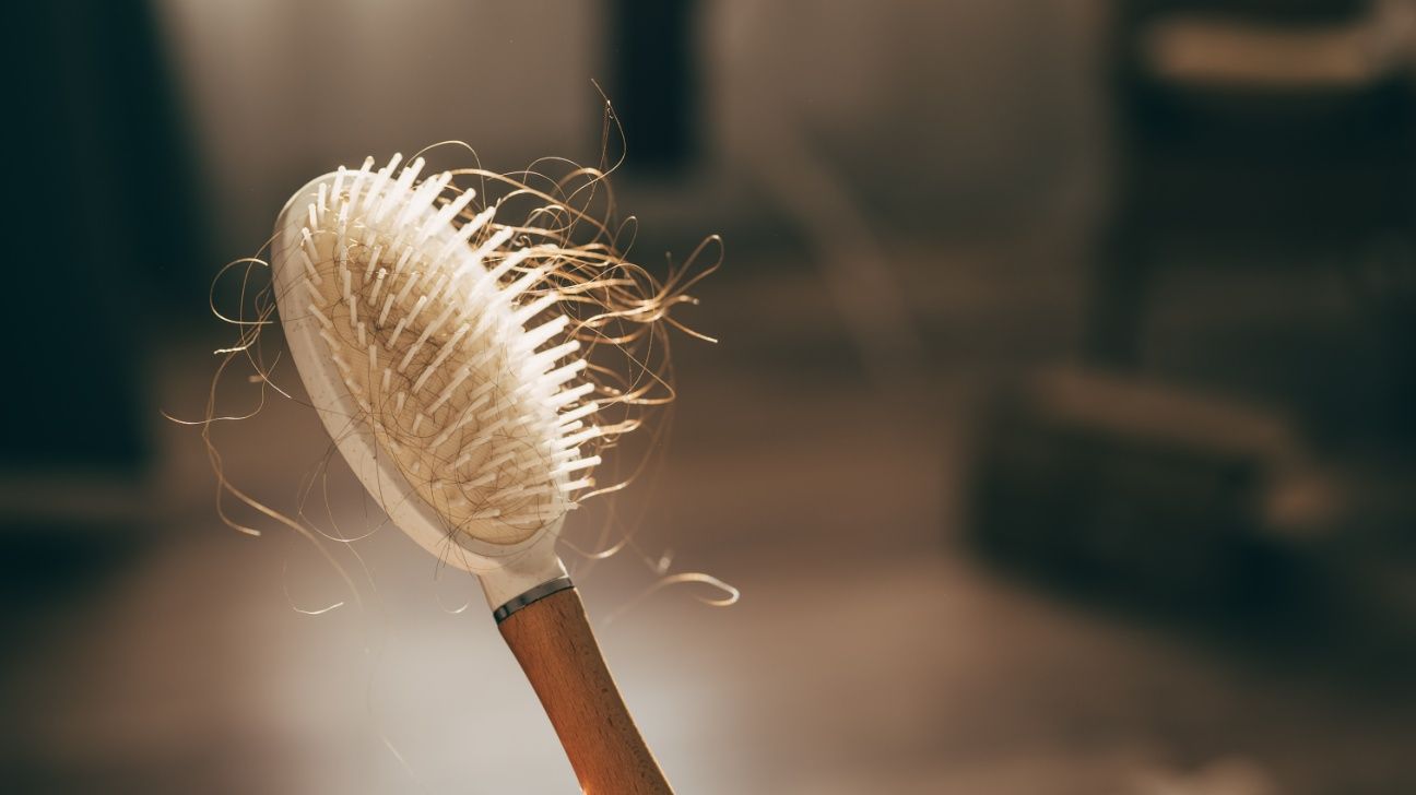 Hair on a hairbrush