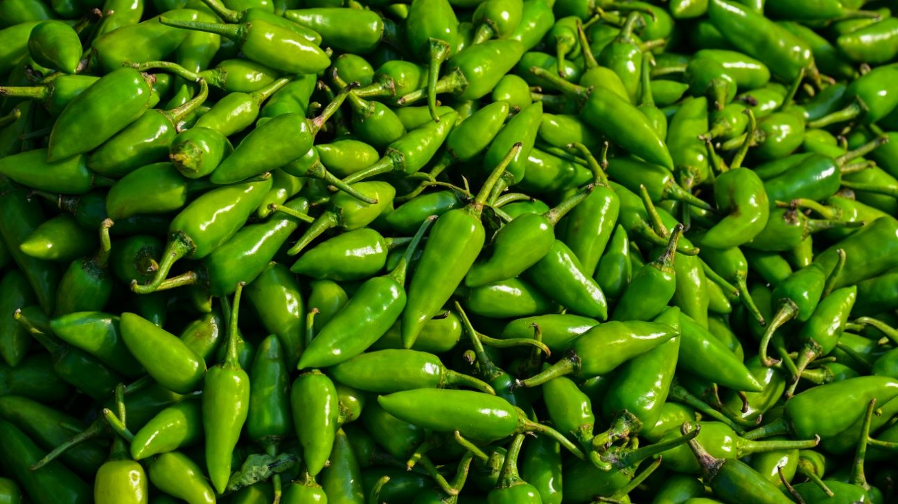 Taylor Farms Recalls Salsa, Guacamole Containing Jalapeños Due to Salmonella