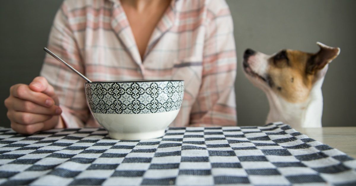 Can Dogs Eat Oatmeal, and Should They?