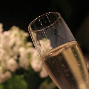 Champagne Glass_sq