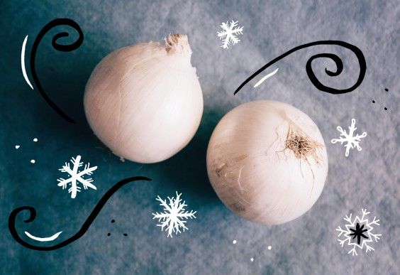 https://media.post.rvohealth.io/wp-content/uploads/sites/2/2019/05/EatMe_HowTo_Cut_an_Onion_Freeze_0.jpg