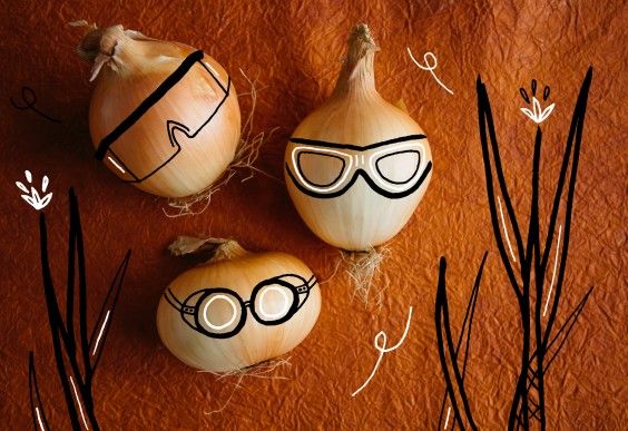 How to Cut Onions Without Crying (5 Tips for Tearless Onion Cutting) - A  Spectacled Owl