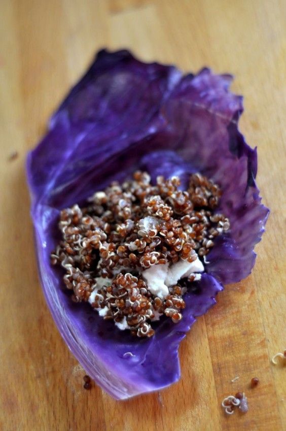 Red Cabbage Wraps with Quinoa and Goat Cheese