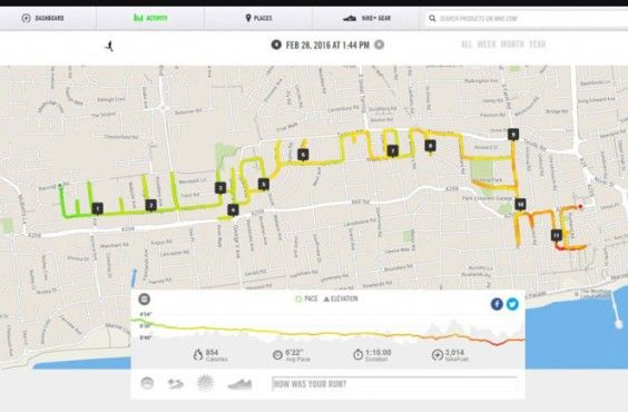 Cutest Proposal Idea: Runner Uses His Fitness Tracker