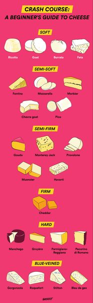A Complete Beginner s Guide To Cheese A Complete Beginner s Guide To Cheese