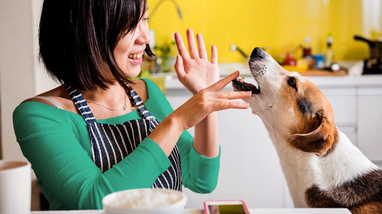woman playing with her dog in the kitchen