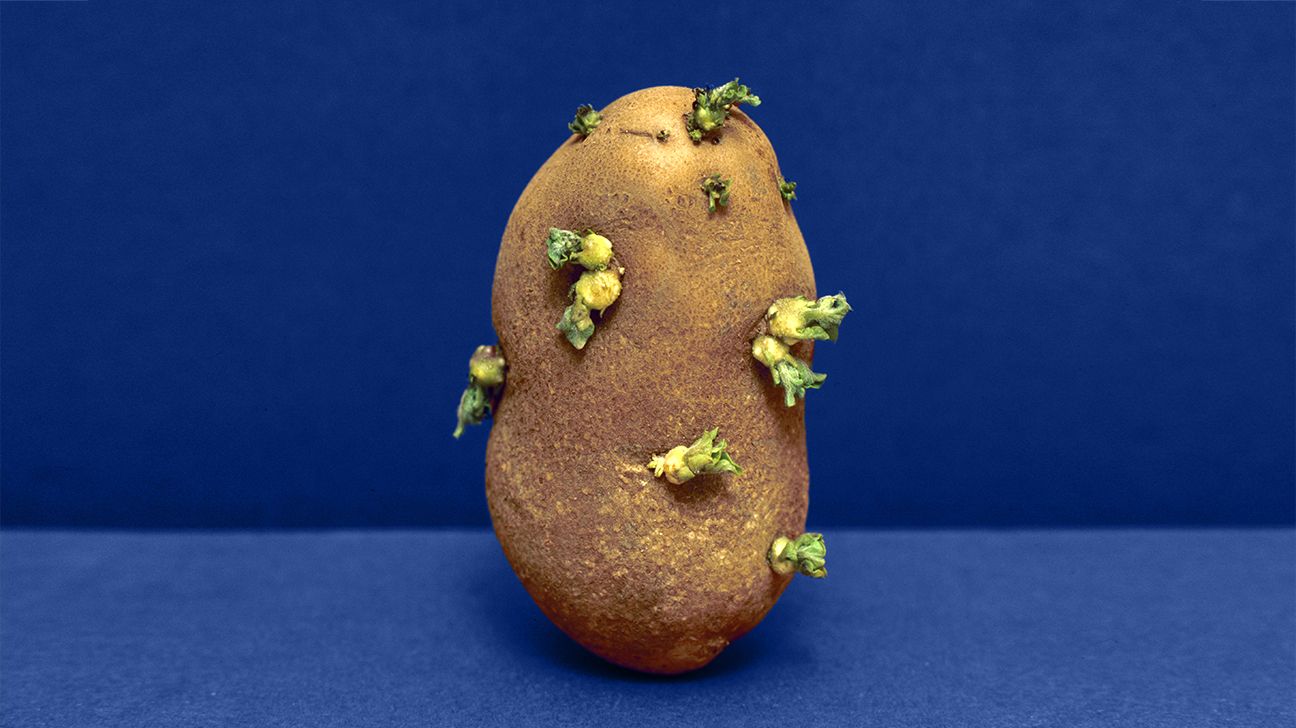 potato with sprouts representing human skin tags header