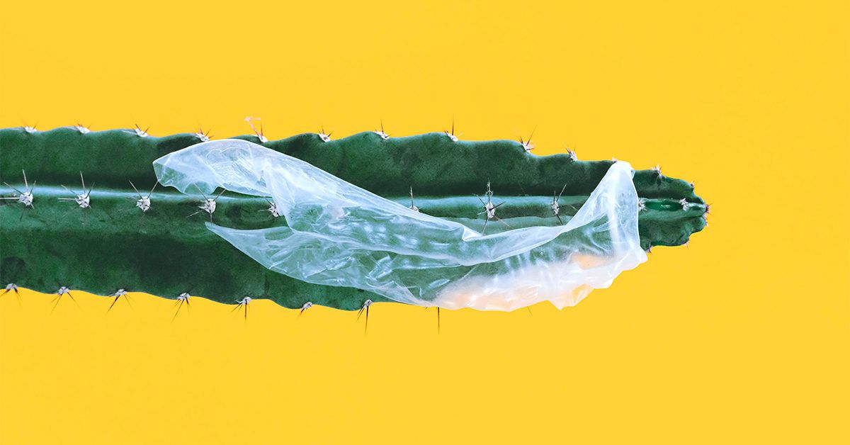 Condom Broke What to Do, Pregnancy, and STIs