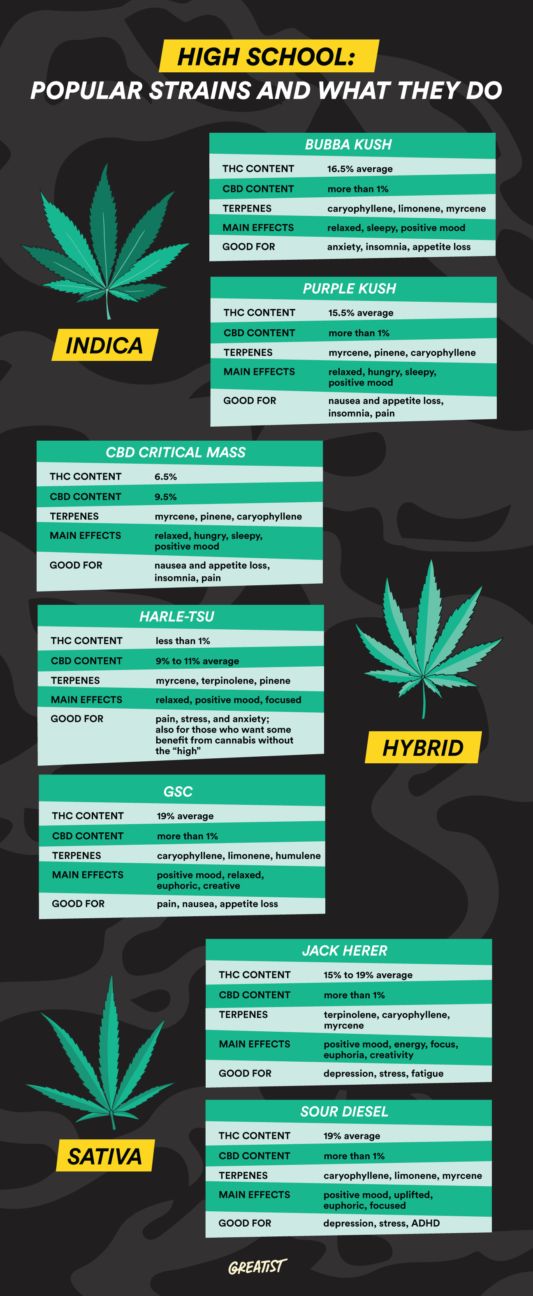 What’s the Difference Between Indica and Sativa? A Guide