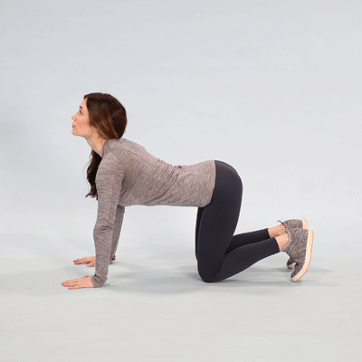 Cat-Cow Pose: Discover The Alignment, Variations, And Surprising Benefits -  Namaste Yoga Blog