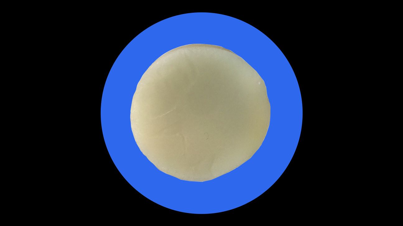 14 Best Conditioner Bars