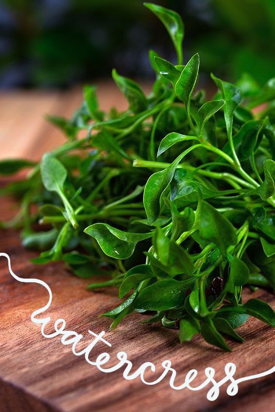Watercress, a leafy green vegetable