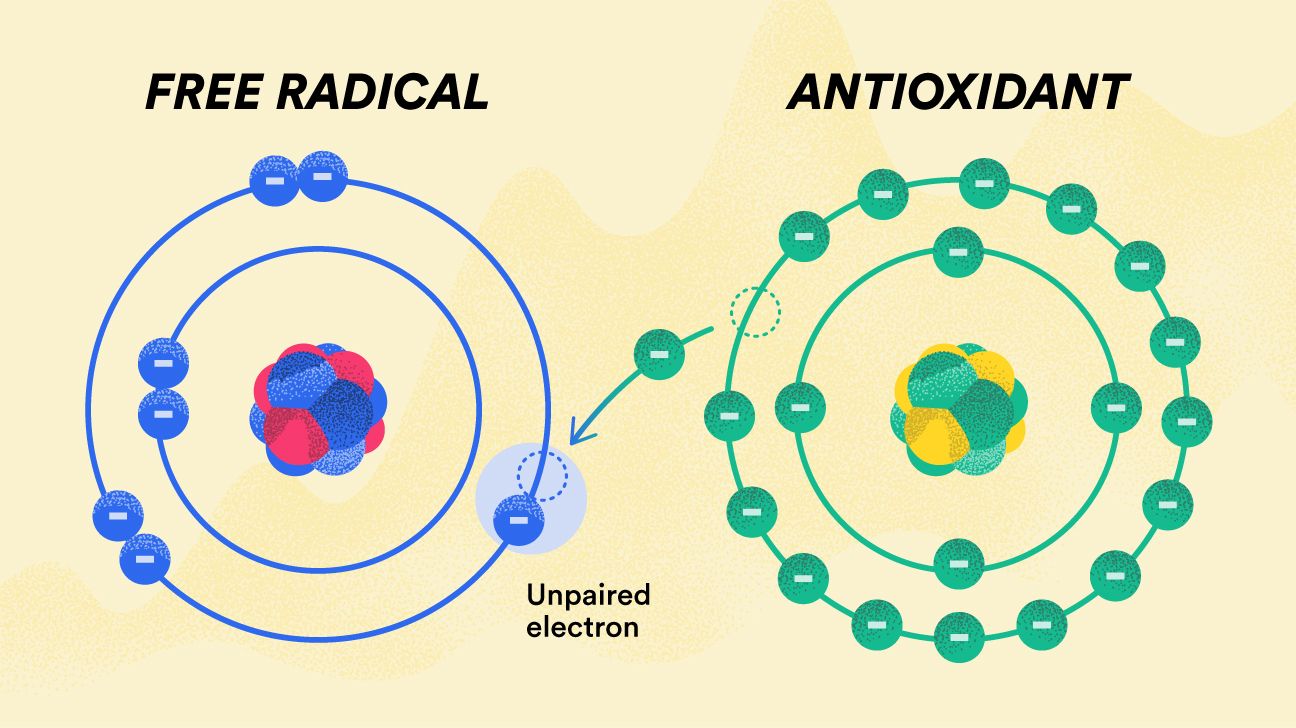 Free radicals and reproductive health