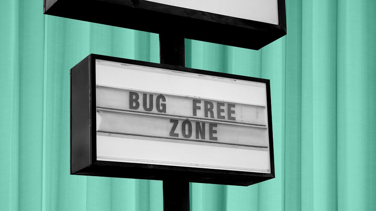 Household Bugs: Eco-Friendly Ways to Get Rid of Bed Bugs and More