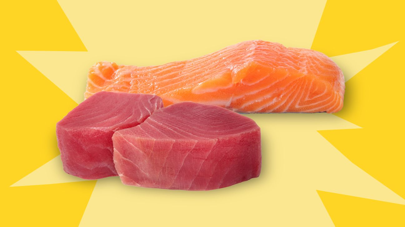 tuna vs salmon on yellow background header
