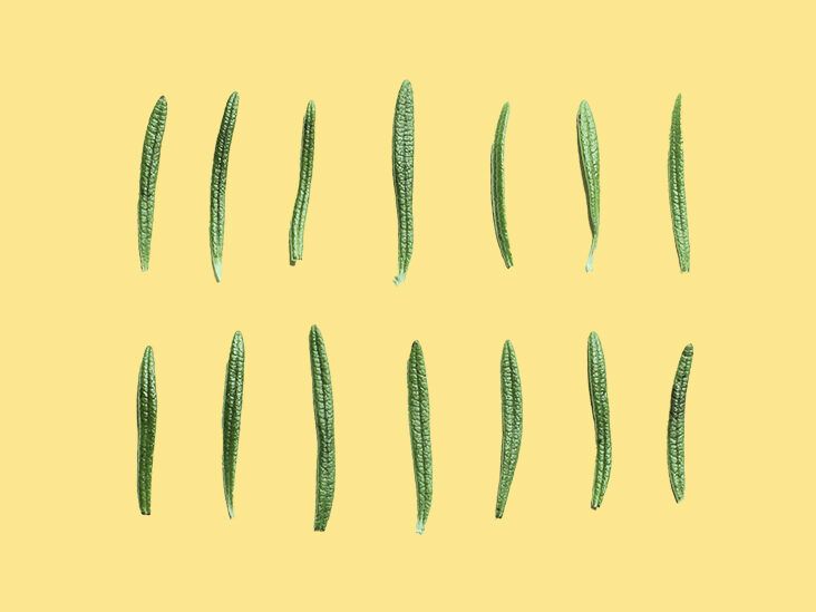 13 Herbs for Energy to Help You Smash That Afternoon Slump