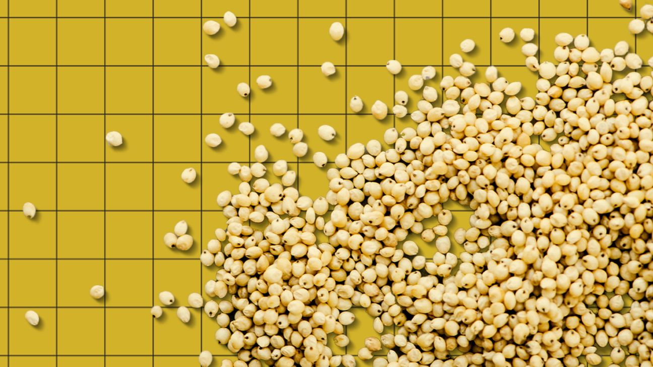 scattered healthy rare grains on a yellow background header