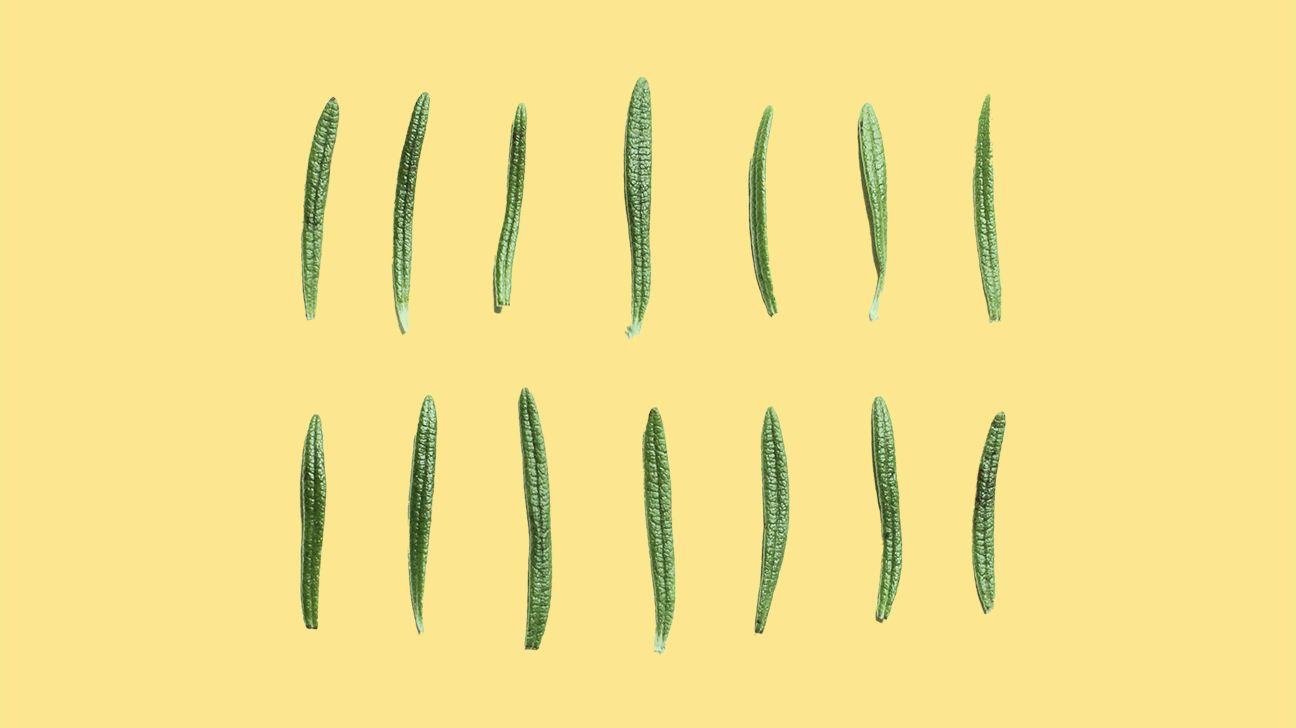 herb of rosemary on a yellow background