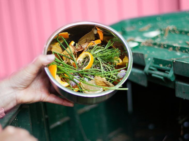 Your Guide to Choosing the Best Apartment Compost Bin - Environment Co