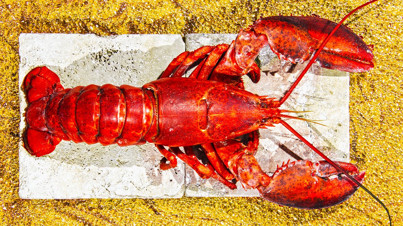 Lobster Nutrition Is It Good for You and How Much Is OK to Eat