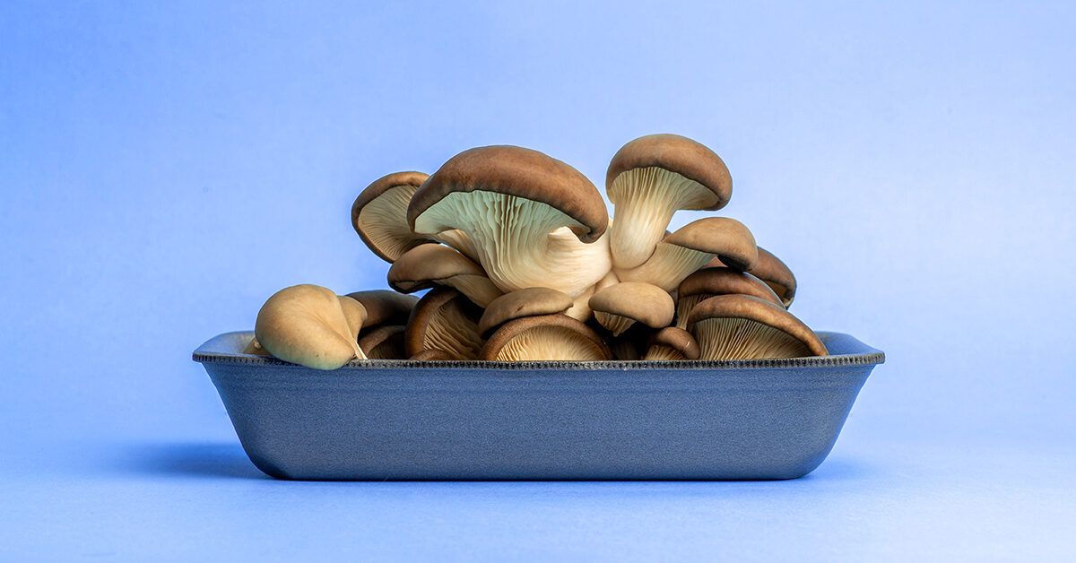 Oyster Mushroom Benefits Nutrition & Heart Health Explained