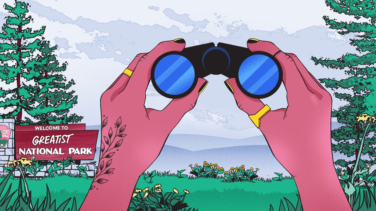 illustration of person holding binoculars facing a national park