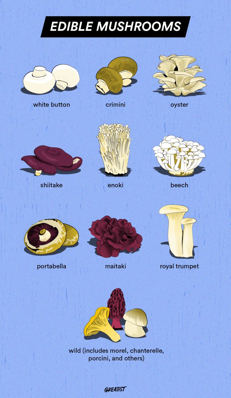 Which mushroom is best to eat?