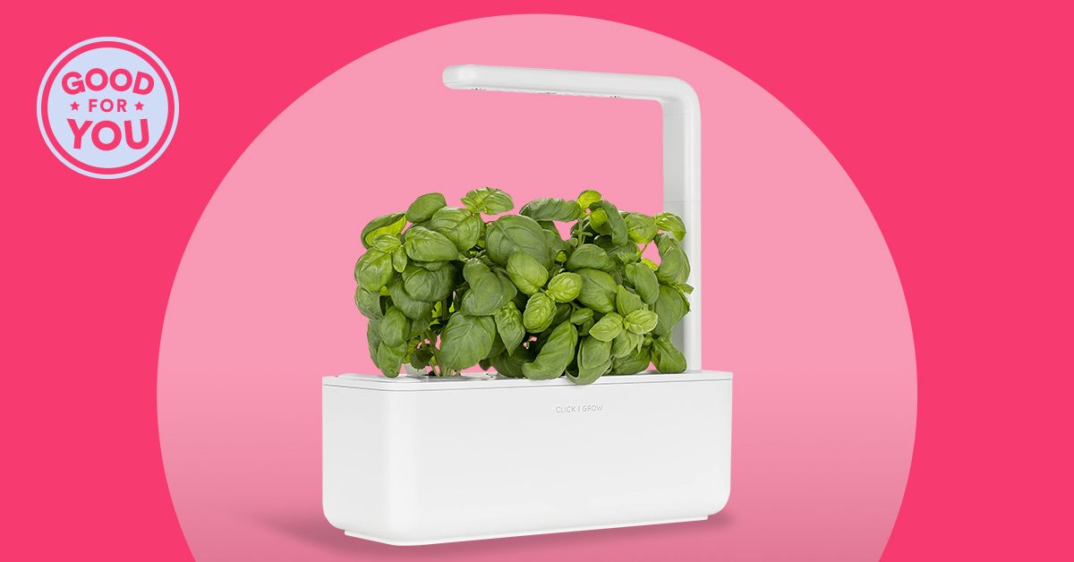 Click and Grow Smart Garden 9 Review