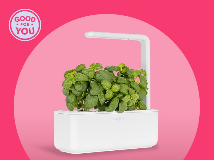 Click and Grow Smart Garden 9 Review