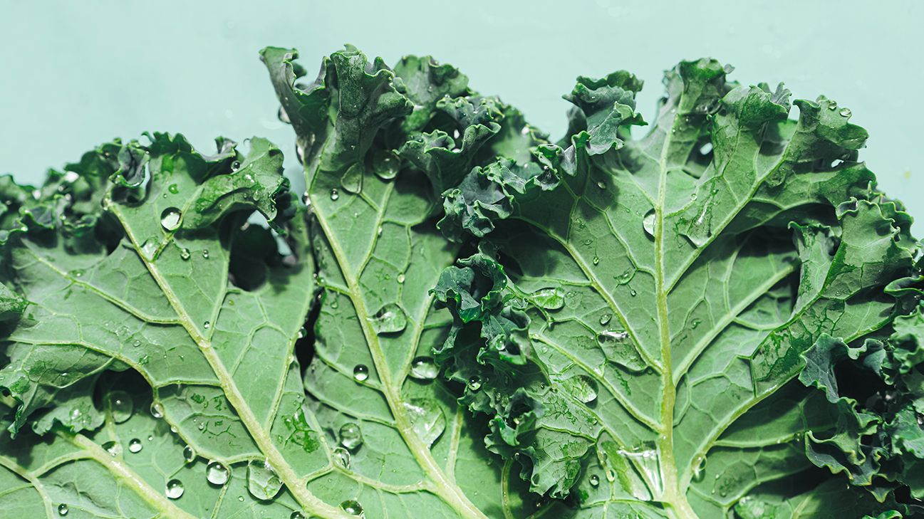 Kale  DIY Blog