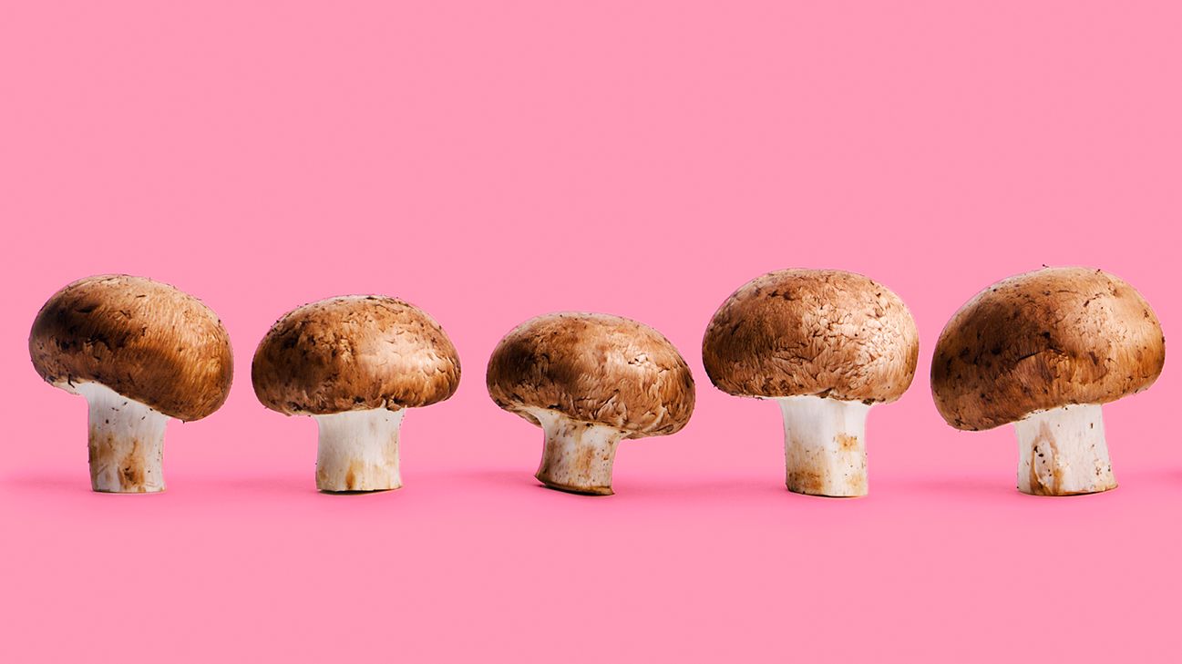 Five mushrooms with pink background
