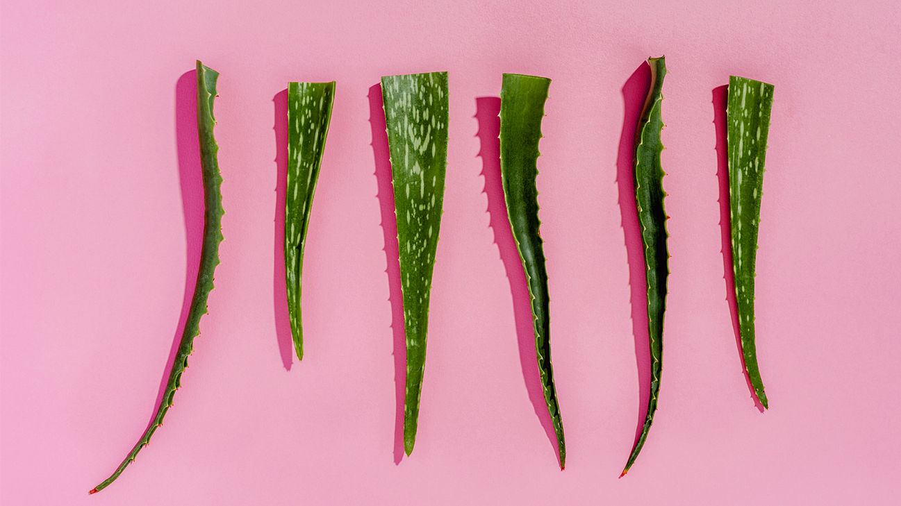 psoriasis aloe vera