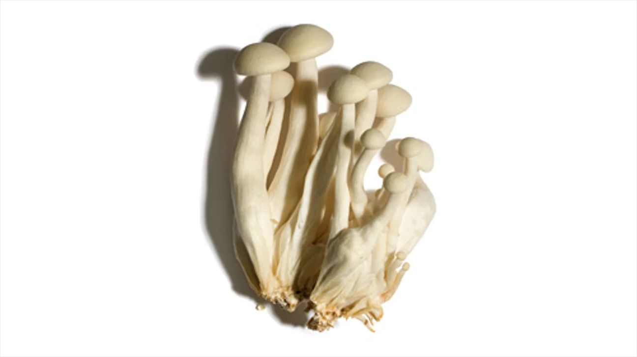 Shimeji mushrooms