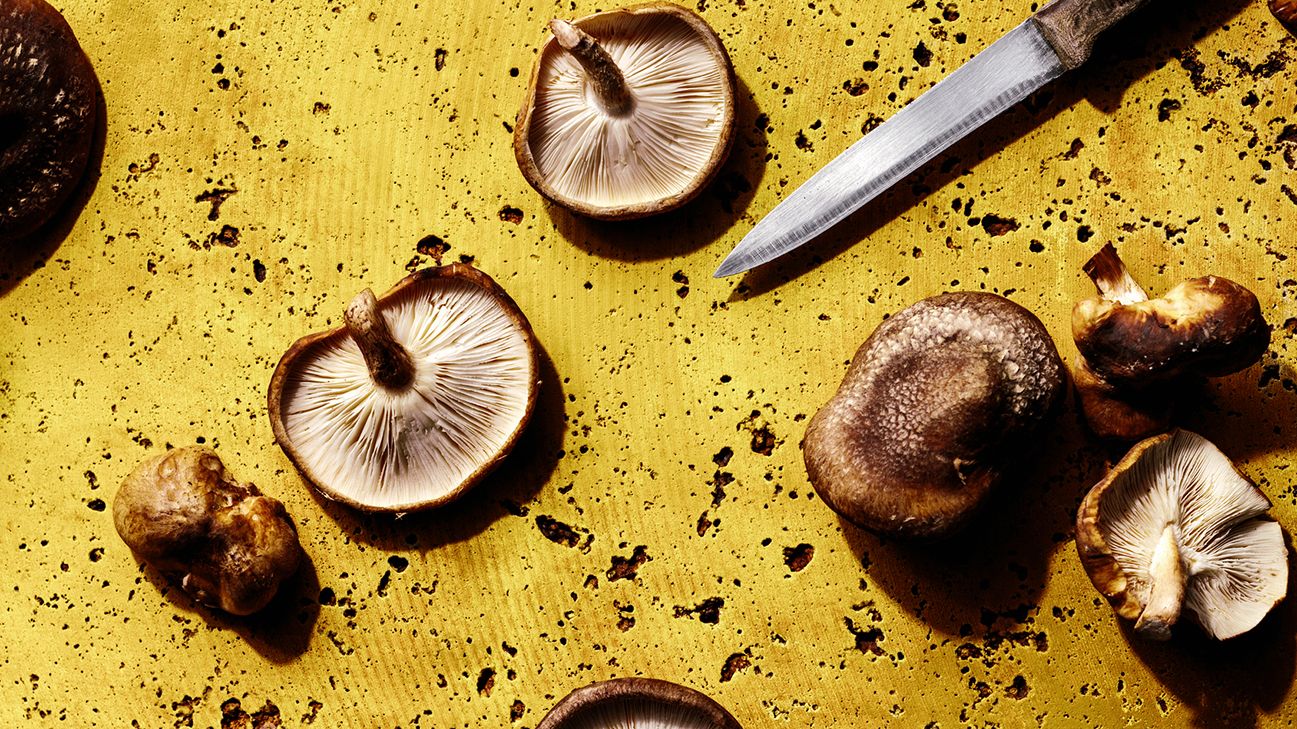 mushrooms and knife against yellow background