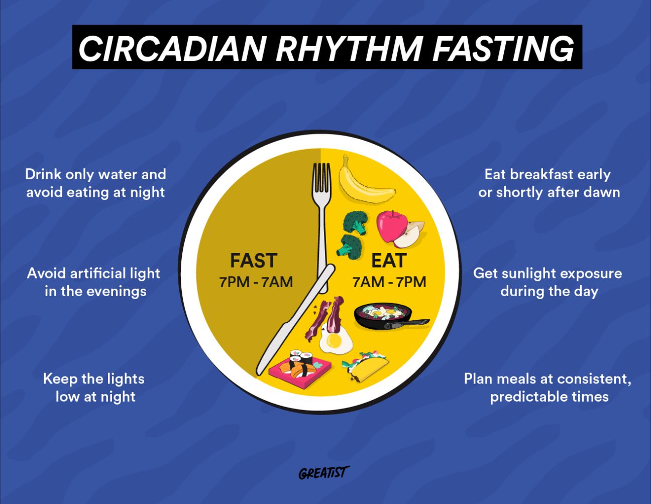 Circadian rhythm meal timing