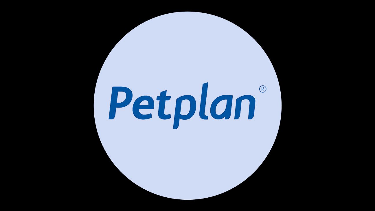 9 Best Pet Insurance Companies for 2022