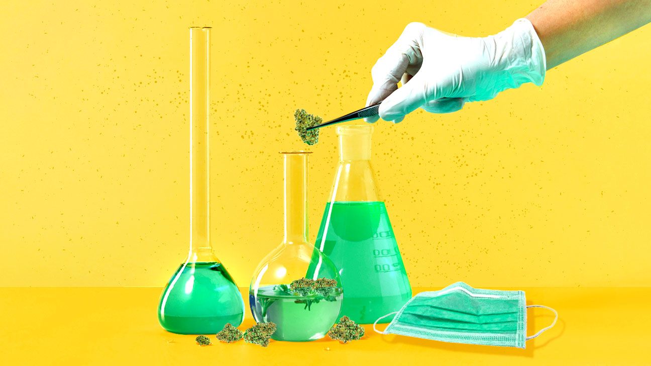 gloved hand placing CBD in beaker of green liquid