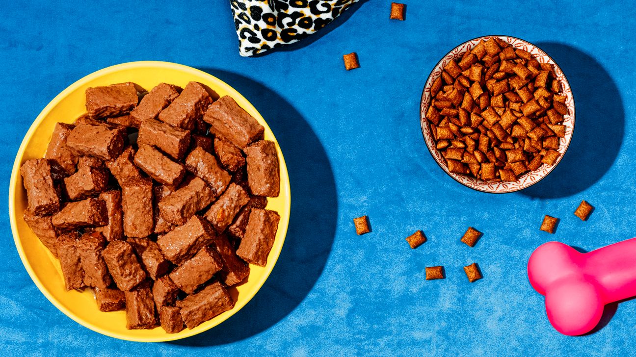 a bowl of wet dog food alongside a bowl of dry dog food