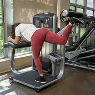 Dumbbell Kickbacks Glute Dumbbell Kickbacks Glute