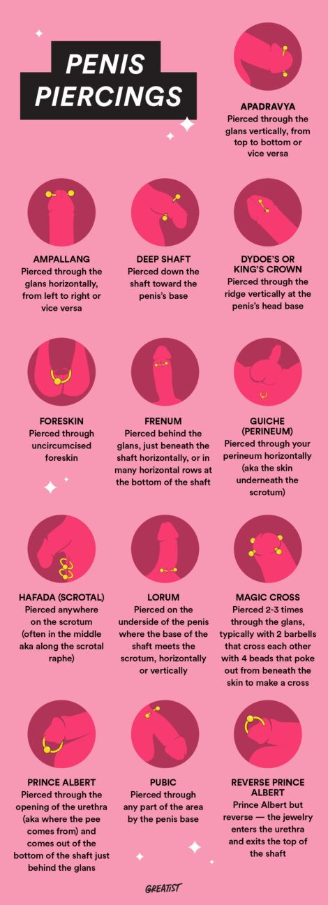 idifferent types of penis piercings