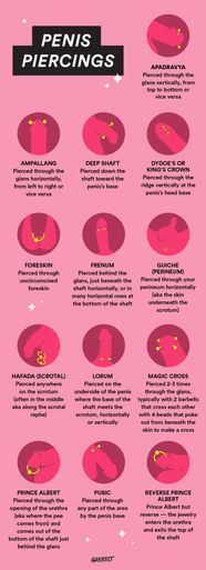 Genital Piercing Typer Christina Piercing Information Aftercare