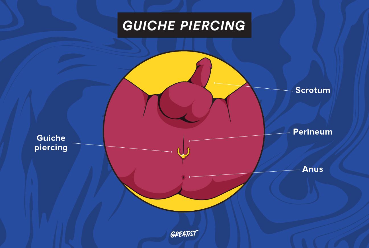 diagram of a guiche piercing