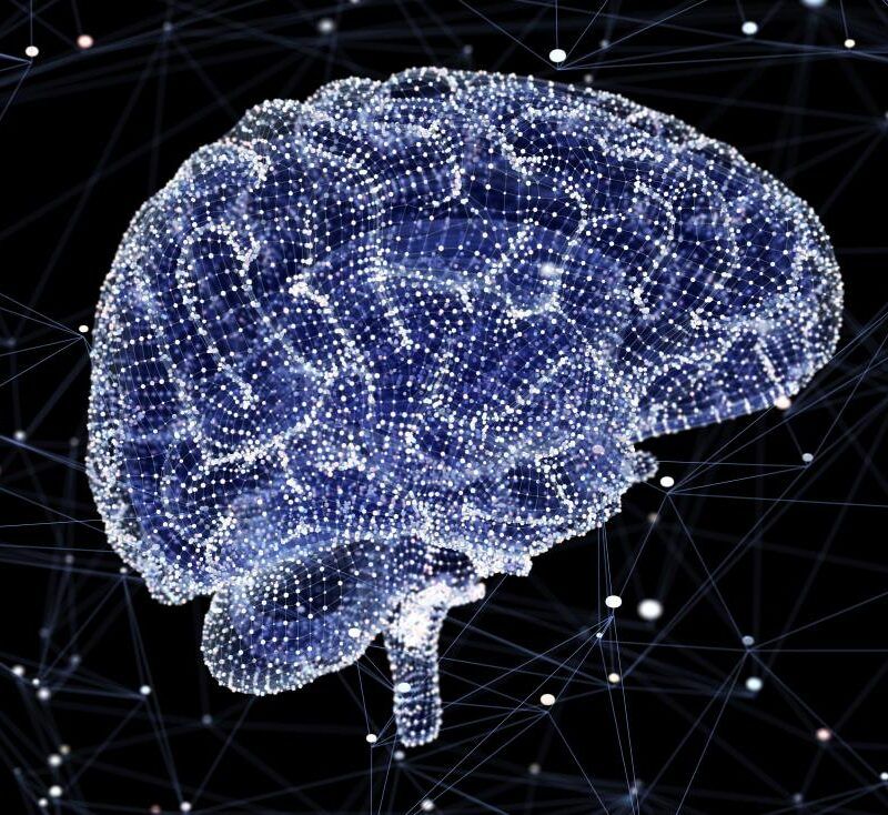 Left Brain Right Brain Test. 100% Reliable Psychology-Based