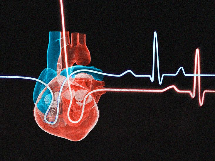 Understanding Your Heart and How it Functions