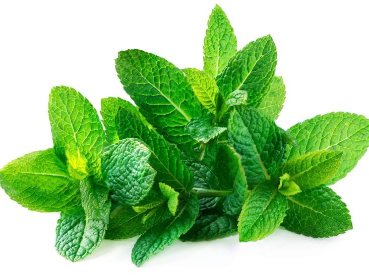 Peppermint: Health benefits, uses, forms, precautions, and more