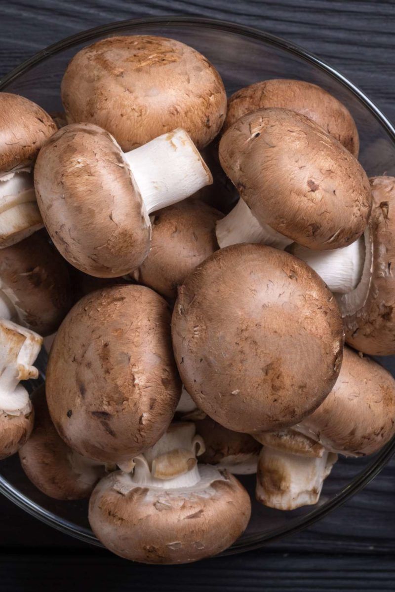 5 Key Health Benefits of Shiitake Mushroom – Earth Fed Muscle