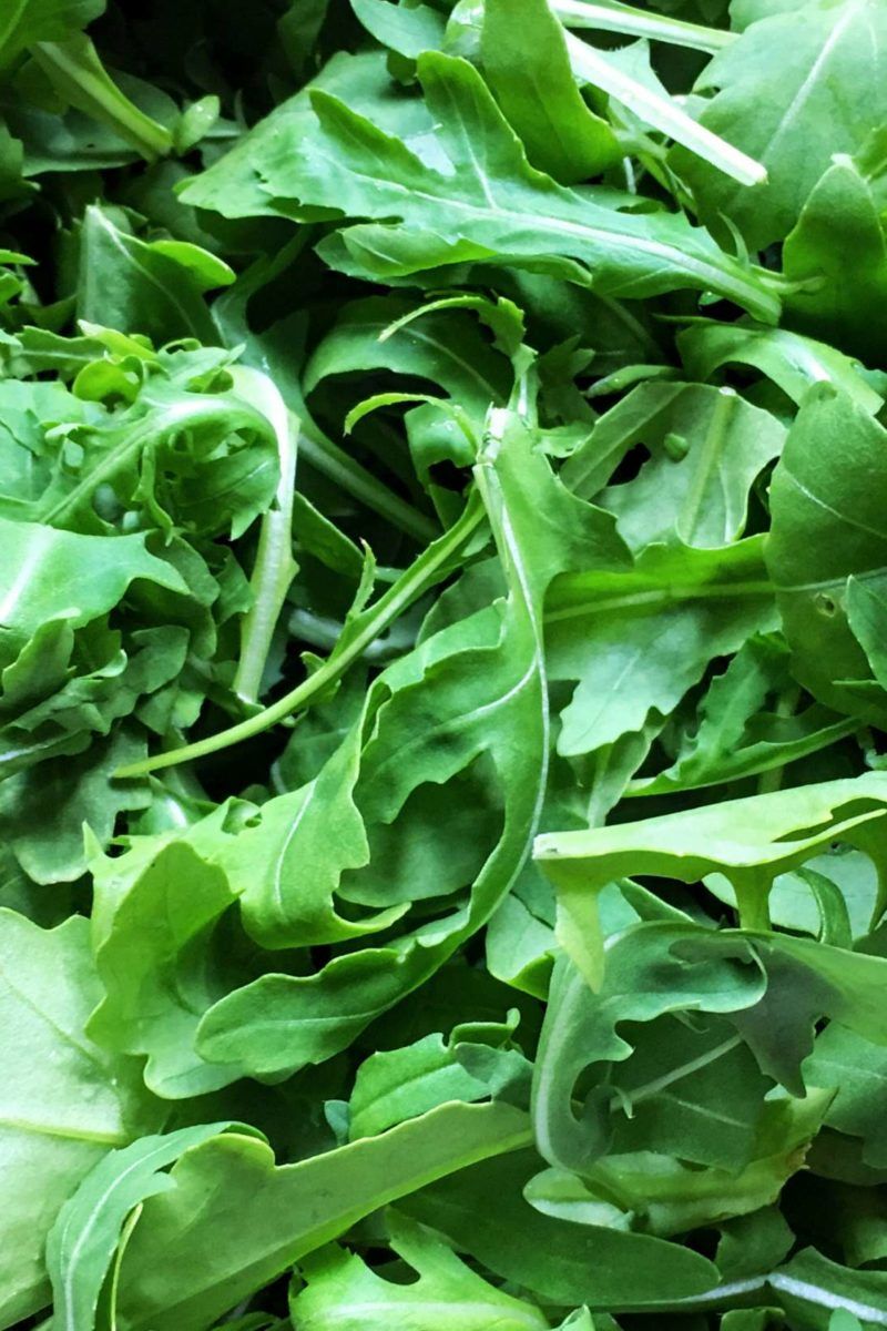 Arugula Microgreens & 20 Most Popular Vegetables Seeds Bundle Non