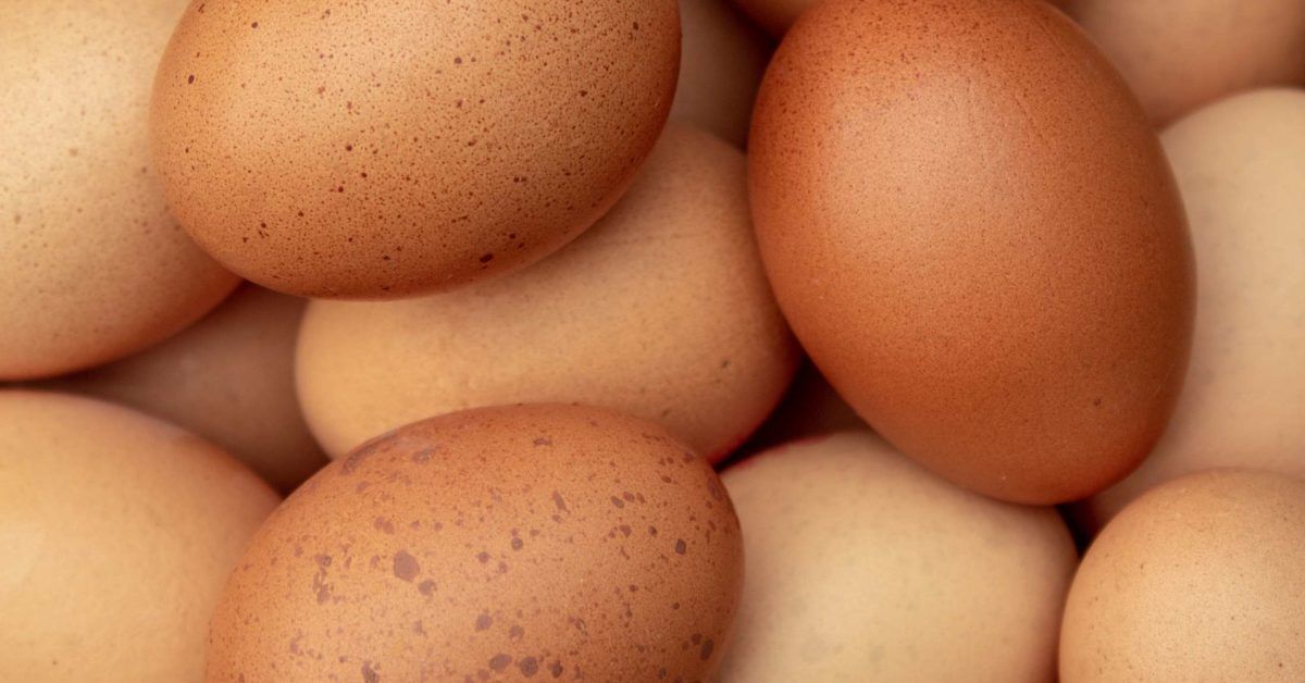 A Guide to Different Types of Eggs