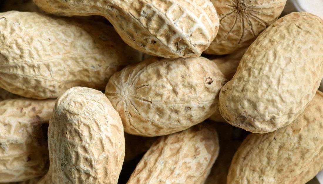 Are peanuts good for diabetes? Nutrition and glucose management